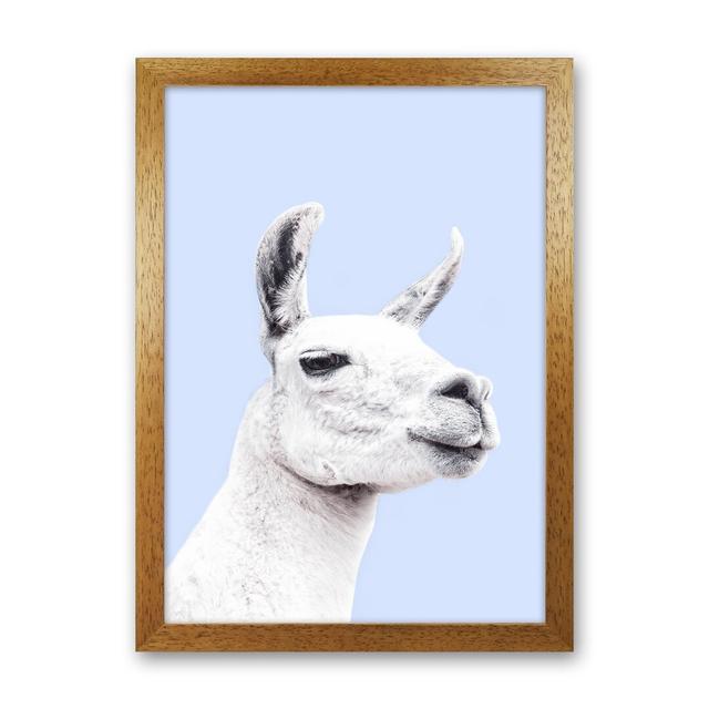 Blue Llama by Victoria Frost - Photograph August Grove Format: Oak Framed, Size: 34cm H x 25cm W x 3cm D on Productcaster.