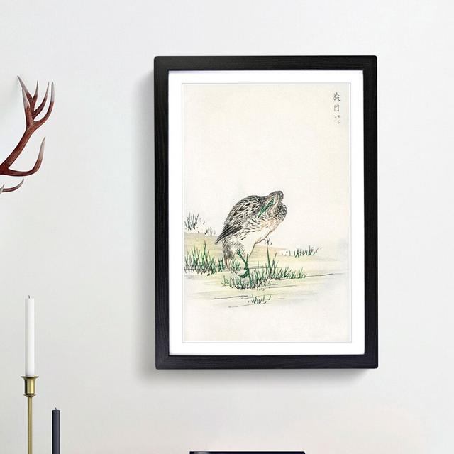 Chinese Little Bittern Bird by Numata Kashu - Picture Frame Painting Print East Urban Home Size: 65cm H x 48cm W x 2cm D, Frame Option: Black Framed on Productcaster.