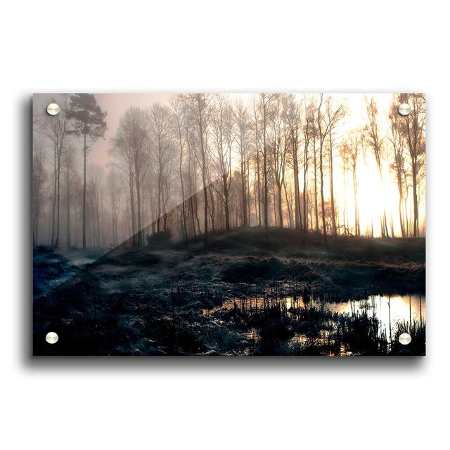 Early Morning Swamp - Unframed Graphic Art Print on Paper East Urban Home Size: 59.4cm H x 84.1cm W on Productcaster.