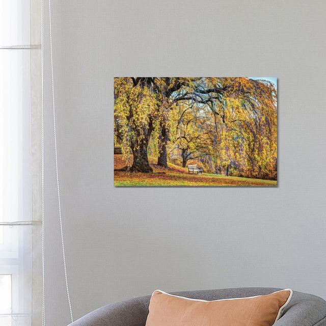 Willow Bench by David Gardiner - Wrapped Canvas Print ClassicLiving Size: 45.72cm H x 66.04cm W x 1.91cm D on Productcaster.