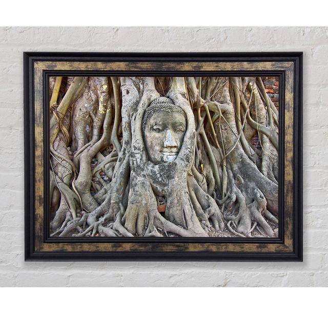 Buddha 21 Framed Print Ivy Bronx Size: 29.7cm H x 42cm W x 8cm D on Productcaster.