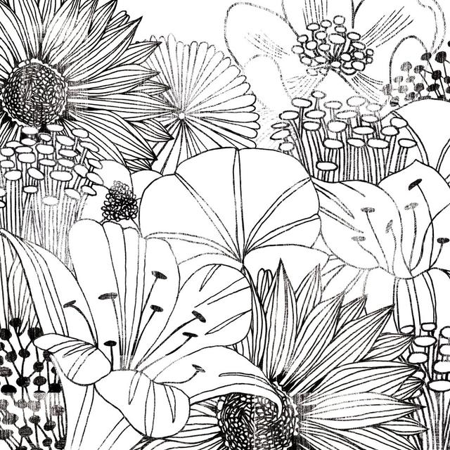 Contemporary Garden I Black and White by Michael Mullan - Wrapped Canvas Drawing August Grove Size: 122cm H x 122cm W on Productcaster.