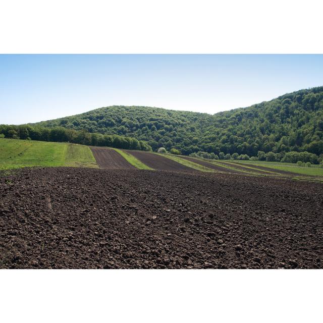 Tilled Land by Vesnyanka - Wrapped Canvas Photograph 17 Stories Size: 30cm H x 46cm W on Productcaster.