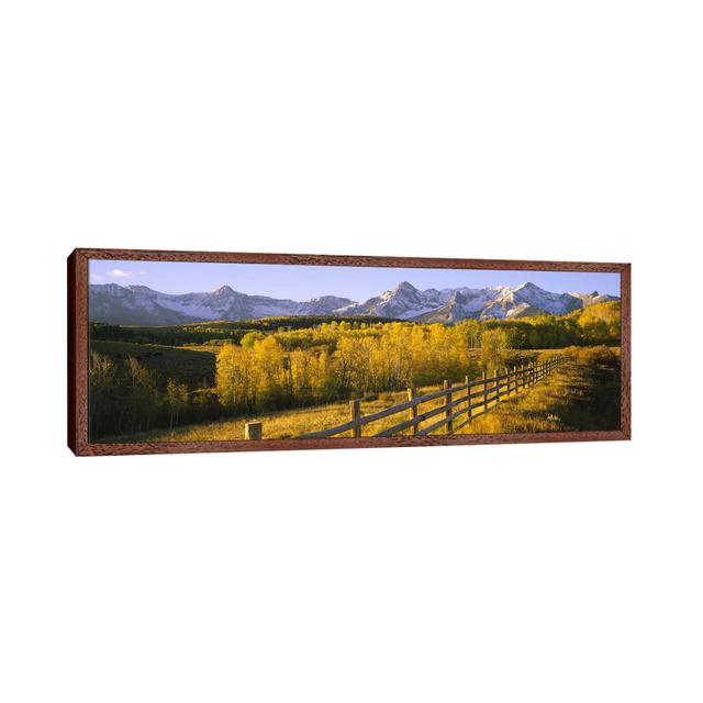 Trees In A Field Near A Wooden FenceDallas Divide, San Juan Mountains, Colorado, USA by Panoramic Images - Panoramic Gallery-Wrapped Canvas Giclée on on Productcaster.