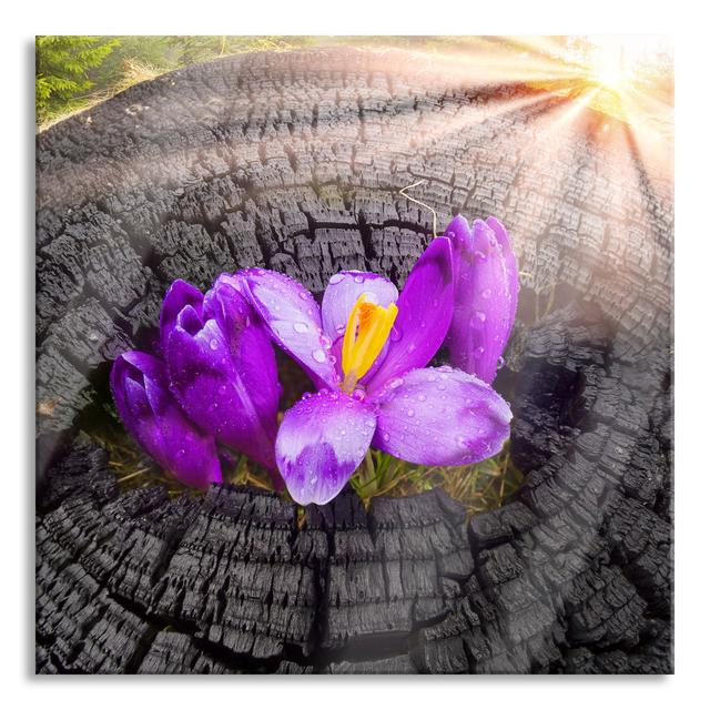 The Power of Nature - Unframed Photograph on Glass Brayden Studio Size: 60cm H x 60cm W x 0.4cm D on Productcaster.