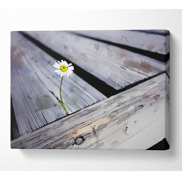 Single Daisy Deck - Wrapped Canvas Art Prints Brambly Cottage Size: 35.6cm H x 50.8cm W x 10cm D on Productcaster.