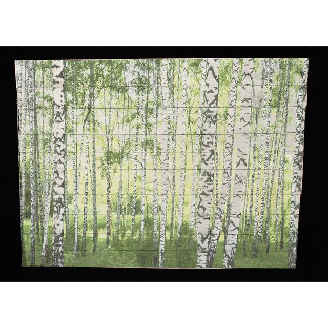 Rustic Birch Forest Graphic Art Print on Wood Alpen Home Size: 15cm H x 20cm W on Productcaster.