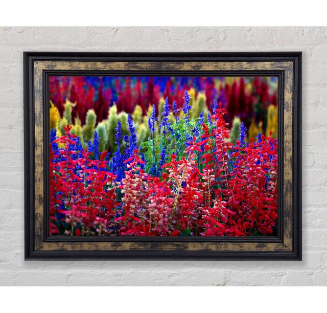 Rainbow Flowers - Single Picture Frame Art Prints Bright Star Size: 42cm H x 59.7cm W x 8cm D on Productcaster.