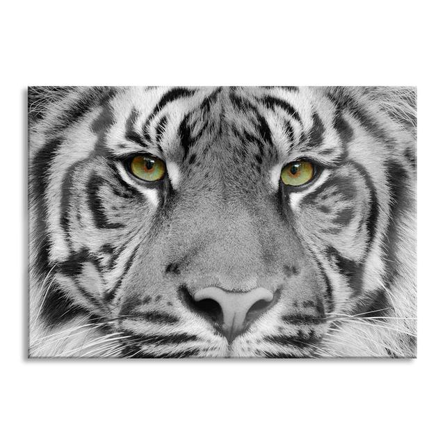 Sumatra Tiger - No Frame Print on Glass Brayden Studio Size: 60cm H x 80cm W x 0.4cm D on Productcaster.