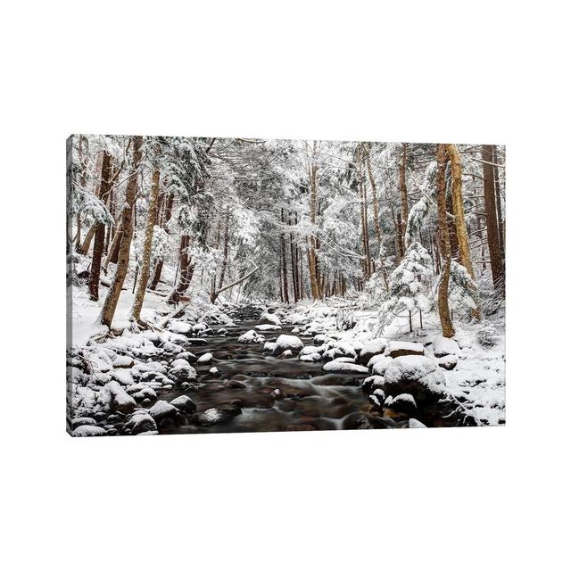 Stream In Winter, Nova Scotia, Canada - Horizontal by Scott Leslie - Wrapped Canvas Print Union Rustic Size: 101.6cm H x 152.4cm W x 3.81cm D on Productcaster.