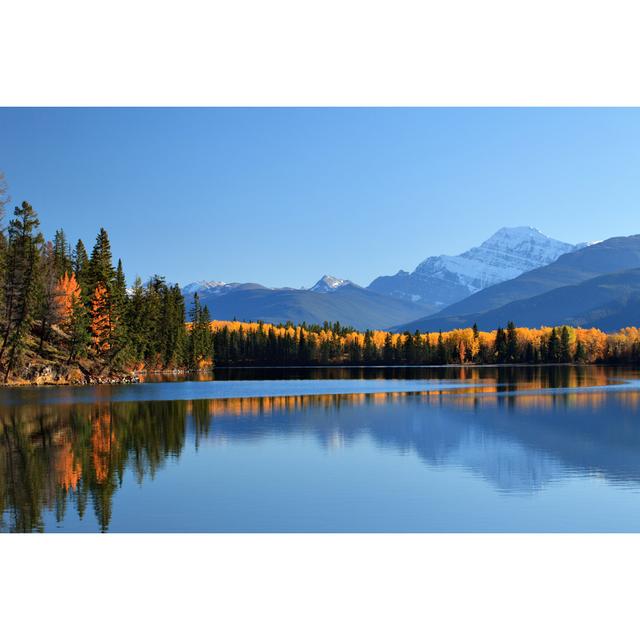 Jasper Wilderness by Gcoles - Print Alpen Home Size: 51cm H x 76cm W on Productcaster.