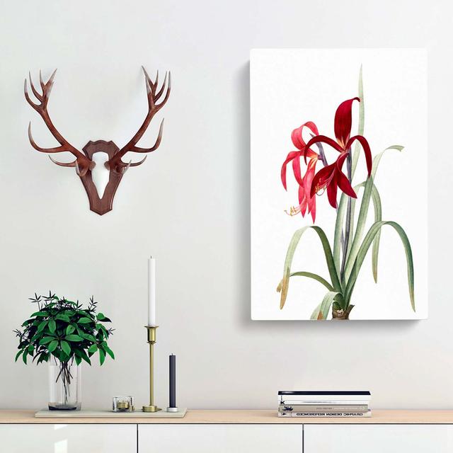 Amaryllis Sprekelia Flowers - Wrapped Canvas Painting Print East Urban Home Size: 76cm H x 50cm W x 3cm D on Productcaster.