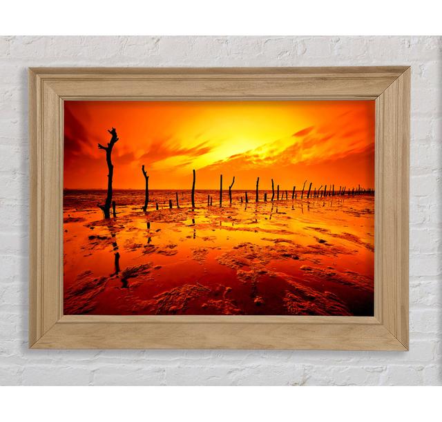 The Oceans Gateway Orange - Print Bright Star Size: 84.1cm H x 142.2cm W x 8cm D on Productcaster.