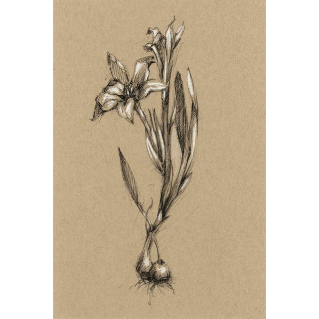 Botanical Sketch B&W I Marlow Home Co. Size: 76cm H x 51cm W on Productcaster.