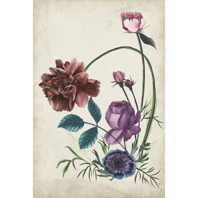 Antique Peony II - Wrapped Canvas Painting Rosalind Wheeler Size: 30cm H x 20cm W on Productcaster.