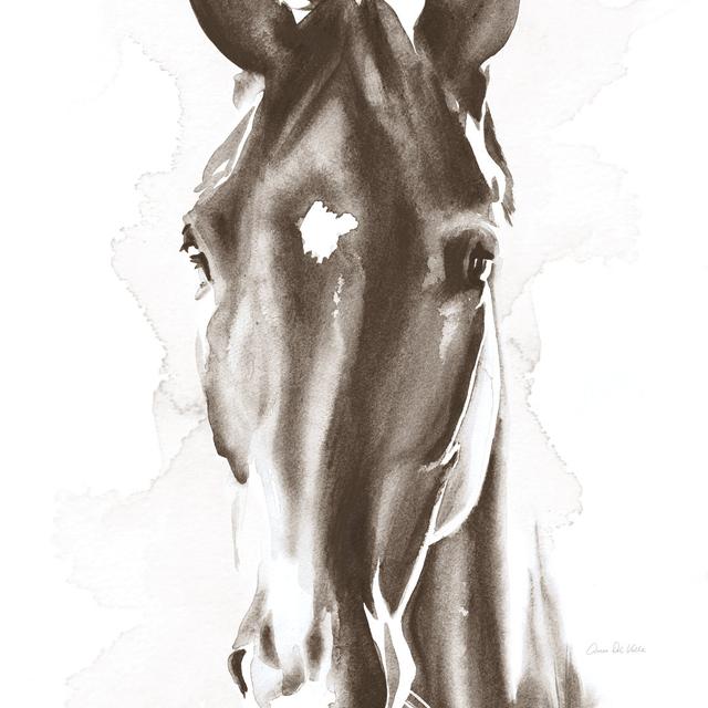 Le Cheval Noir Brown Crop by Aimee Del Valle - Wrapped Canvas Painting Rosalind Wheeler Size: 91cm H x 91cm W on Productcaster.