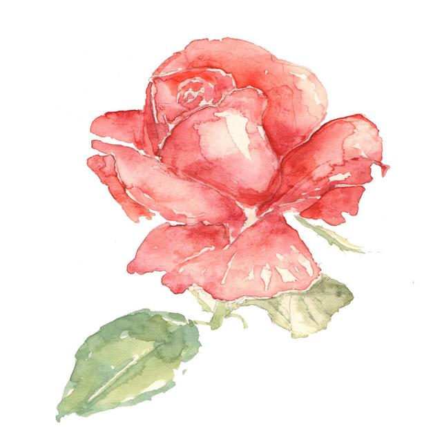 Rose by Sanphire - No Frame Art Prints on Canvas Lark Manor Size: 80cm H x 80cm W on Productcaster.