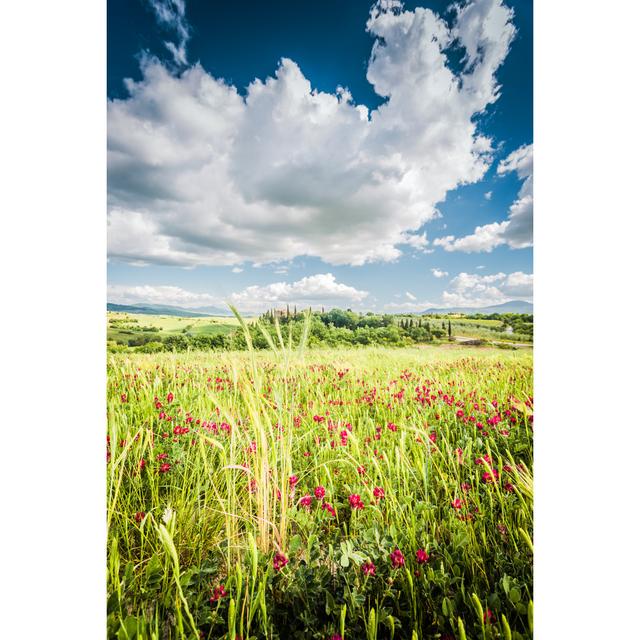 Beautiful Tuscany Landscape. Italy, Europe by NoSystem Images - No Frame Print on Canvas Latitude Run Size: 90cm H x 60cm W on Productcaster.