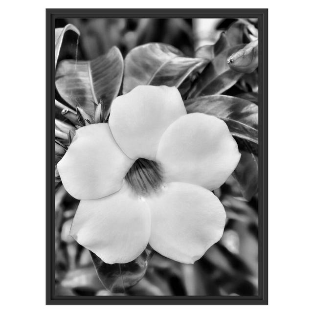 Gerahmtes Wandbild gelbe Blüte East Urban Home Größe: 80 cm H x 60 cm B on Productcaster.