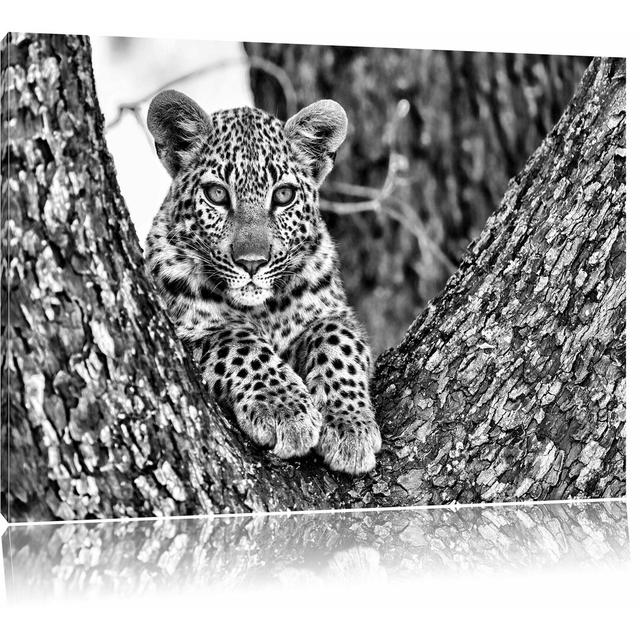 Leinwandbild Leopardenbaby in Monochrom World Menagerie Größe: 70 cm H x 100 cm B on Productcaster.