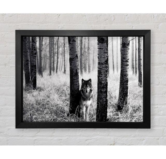 Forest Wolf - Single Picture Frame Art Prints Union Rustic Size: 100cm H x 141.4cm W x 3.4cm D on Productcaster.