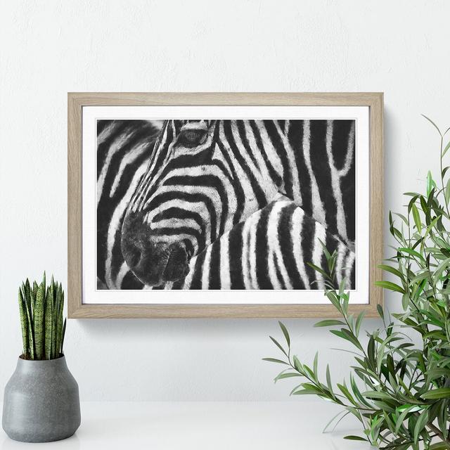 Zebra Vol.2 - Picture Frame Painting East Urban Home Size: 27cm H x 36cm W x 2cm D, Frame Option: Oak on Productcaster.