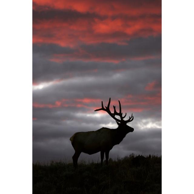 Yellowstone Sunset by Skyhobo - No Frame Print on Canvas Alpen Home Size: 60cm H x 40cm W on Productcaster.