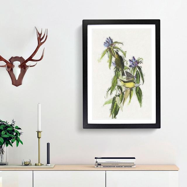 Connecticut Warbler Birds by John Audubon - Picture Frame Painting Print East Urban Home Size: 48cm H x 36cm W x 2cm D, Frame Option: Black Framed on Productcaster.