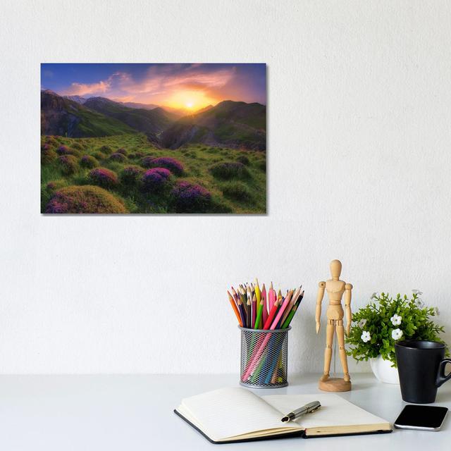 Spring In Show by Saeed Younesi - Wrapped Canvas Gallery-Wrapped Canvas Giclée Alpen Home Size: 20.32cm H x 30.48cm W x 1.90cm D on Productcaster.