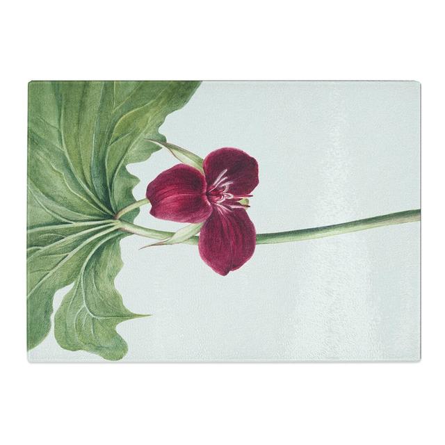 Sweet Trillium by Mary Vaux Walcott Chopping Board East Urban Home Size: 20cm W x 28.5cm L on Productcaster.