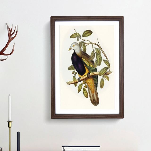 Magnificent Fruit Pigeons by Elizabeth Gould - Picture Frame Painting Print East Urban Home Size: 65cm H x 48cm W x 2cm D, Frame Option: Walnut Framed on Productcaster.