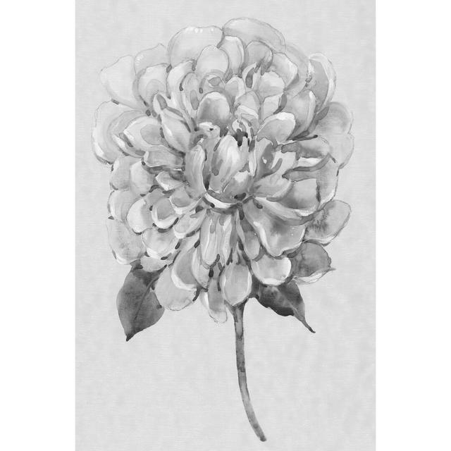 Silvertone Floral I by Tim Otoole - Wrapped Canvas Painting Rosalind Wheeler Size: 46cm H x 30cm W on Productcaster.