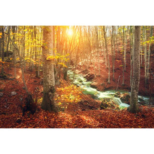 Crossland Nature Background by Den Belitsky - Wrapped Canvas Photograph Alpen Home Size: 30cm H x 46cm W x 3.8cm D on Productcaster.