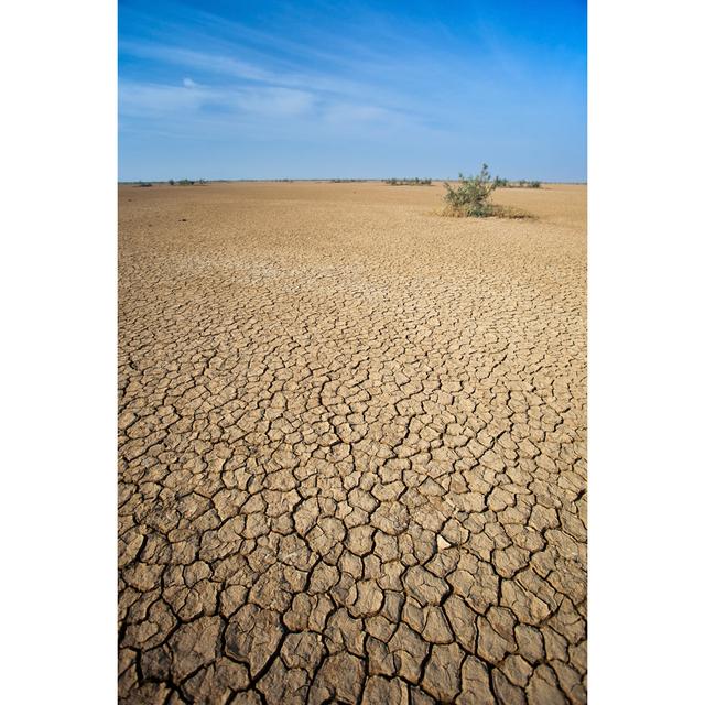 The Indian Desert by Traveler1116 - No Frame Print on Canvas 17 Stories Size: 46cm H x 30cm W on Productcaster.