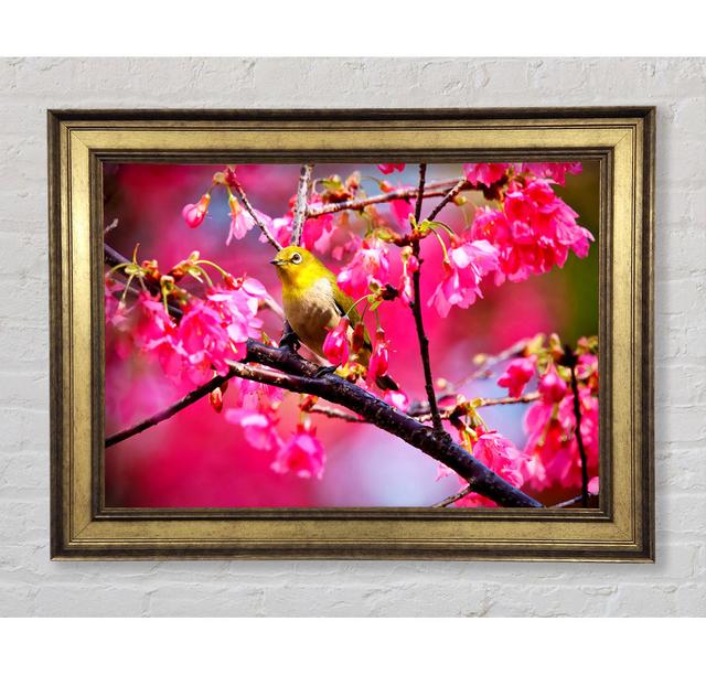 Picture Frame Art Prints Bright Star Size: 84.1cm H x 142.2cm W x 8cm D on Productcaster.