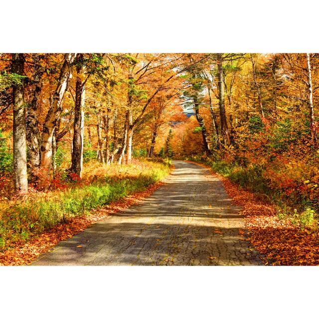 Autumn Road In The Mountains by DenisTangneyJr - No Frame Art Prints on Canvas 17 Stories Size: 51cm H x 76cm W on Productcaster.