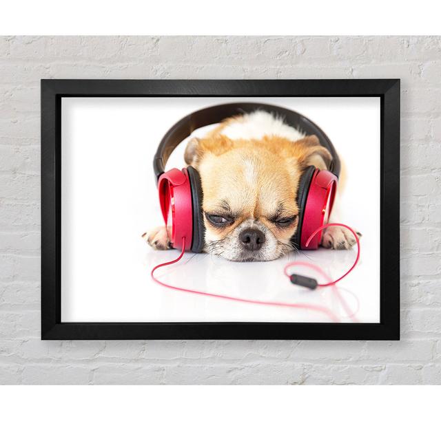 Dog Listening To Music Relaxing - Print Brayden Studio Format: Champagne/Silver Framed Paper, Size: 59.7cm H x 84.1cm W x 3.4cm D on Productcaster.