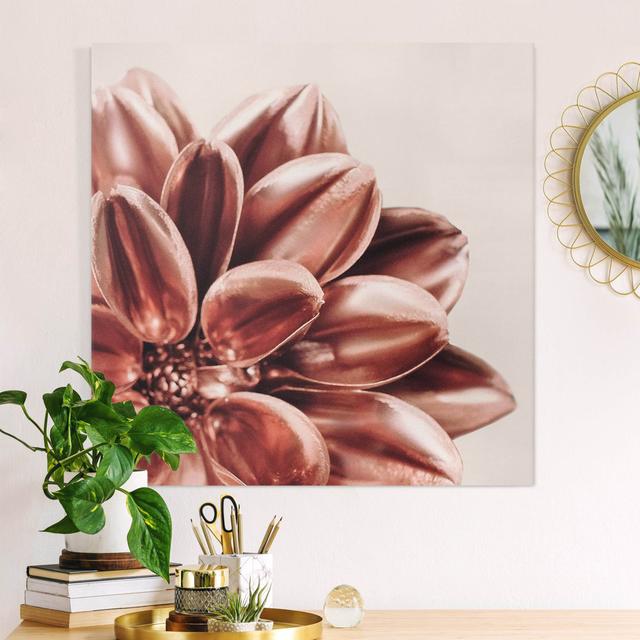 Leinwandbild Dahlie Rosegold Ebern Designs Format: 260g/qm Canvas, Größe: 70 cm H x 70 cm B on Productcaster.