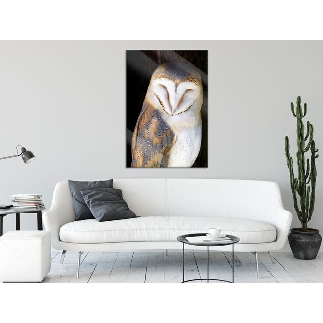 Barn Owl - Unframed Photograph on Glass Union Rustic Size: 80cm H x 60cm W x 0.4cm D on Productcaster.