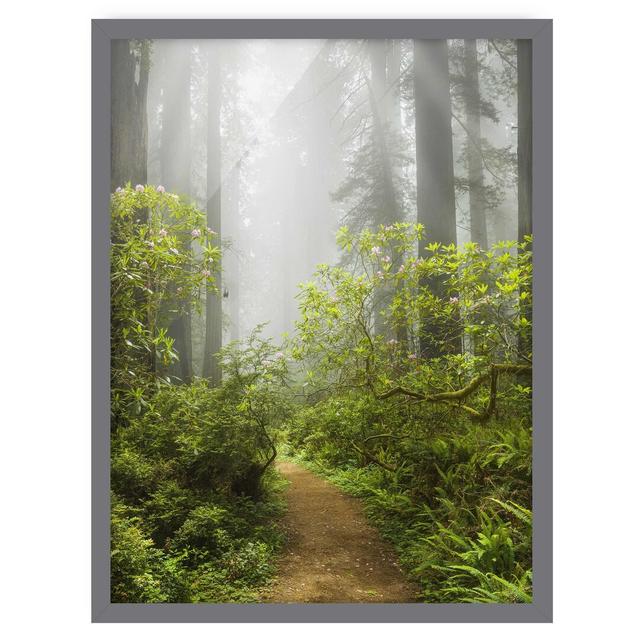 Misty Forest Path - Picture Frame Graphic Art Union Rustic Size: 40cm H x 30cm W x 2cm D, Frame Option: Grey Framed on Productcaster.