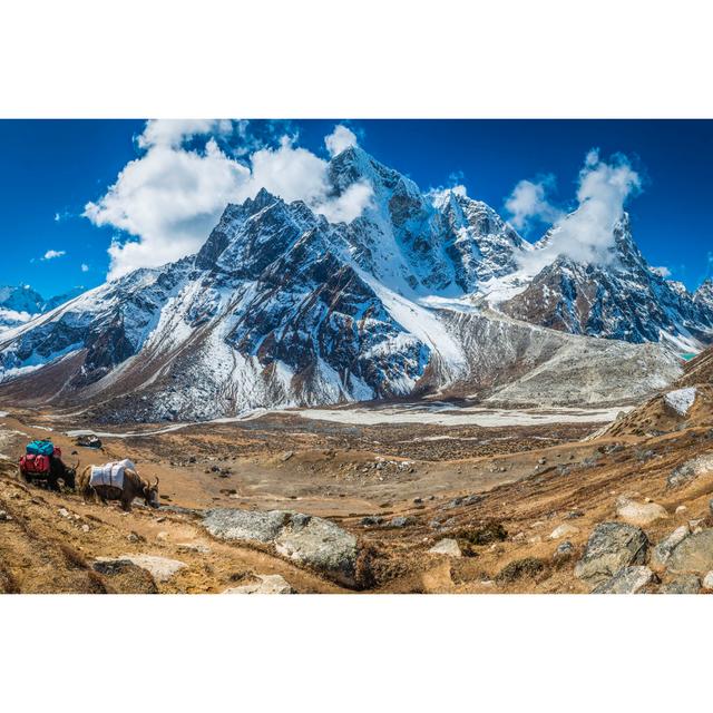 Yaks by FotoVoyager - Print Alpen Home Size: 60cm H x 90cm W on Productcaster.