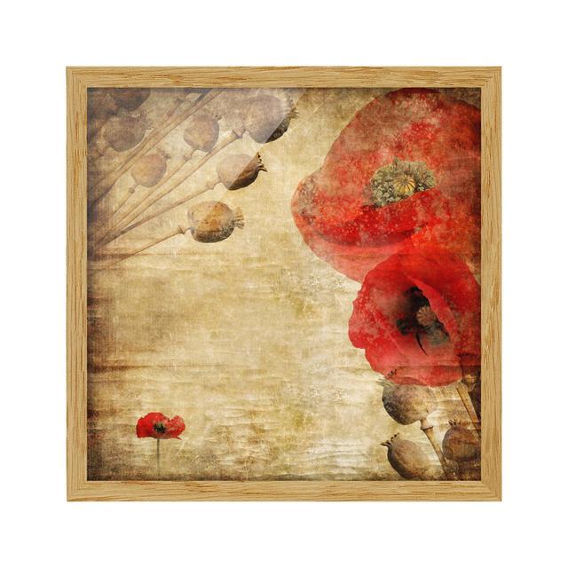 Poppy Flower - Picture Frame Graphic Art Rosalind Wheeler Frame Option: Brown Framed, Size: 50cm H x 50cm W x 2cm D on Productcaster.