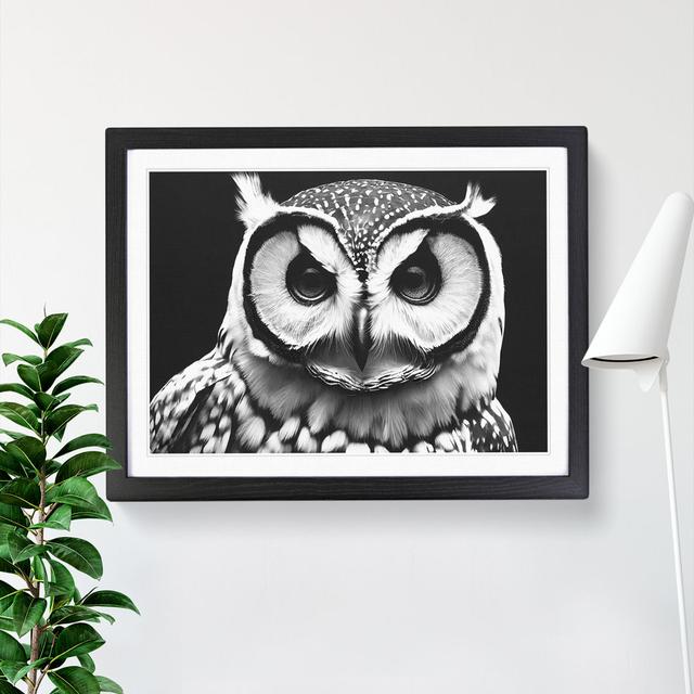 XH1022-6551X Owl Portrait Monochrome Vol.3 - Single Picture Frame Print Alpen Home Size: 34cm H x 46cm W x 2cm D, Frame Colour: Black on Productcaster.