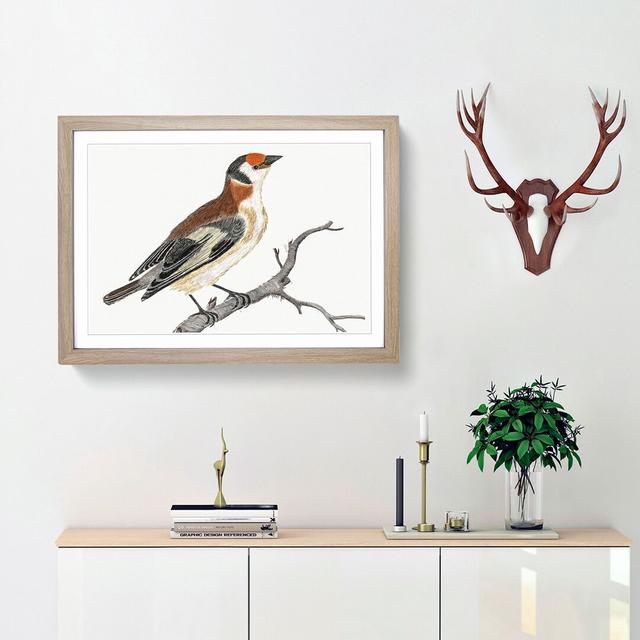 Goldfinch by Johan Teyler - Picture Frame Painting Print East Urban Home Size: 62cm H x 87cm W x 2cm D, Frame Option: Oak Framed on Productcaster.