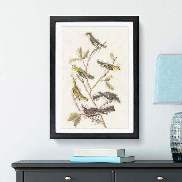 Collection of Birds by John Audubon - Picture Frame Painting East Urban Home Frame Option: Black Framed, Size: 65cm H x 48cm W x 2cm D on Productcaster.