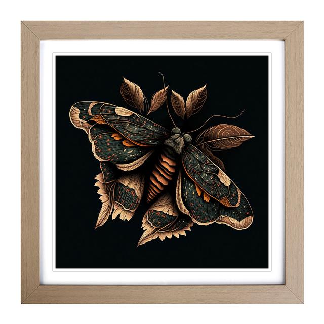 Moth Graphic Art - Single Picture Frame Print on Wood Brambly Cottage Format: Oak on Productcaster.