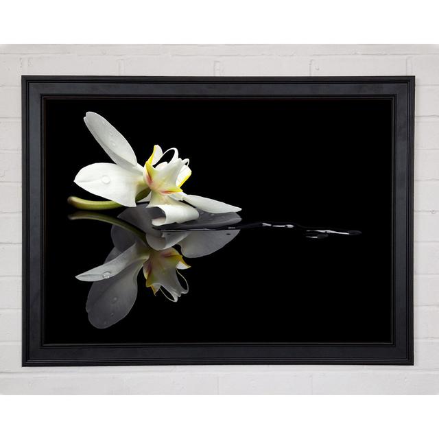 Orchid On Black Framed Print Ebern Designs Size: 42cm H x 59.7cm W x 1.5cm D on Productcaster.