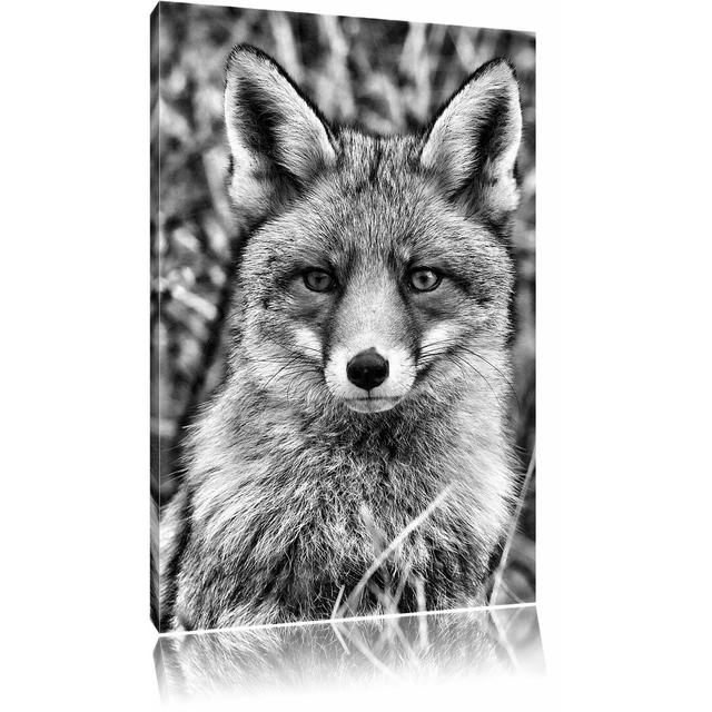 Leinwandbild Aufmerksamer Fuchs im Geäst in Monochrom Alpen Home Größe: 80 cm H x 60 cm B on Productcaster.