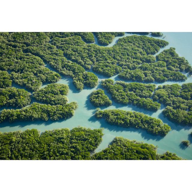 Mangrove Habitat At Prince Frederick Harbour, Hunter River, Porosus Creek Highland Dunes Size: 81cm H x 122cm W x 3.8cm D on Productcaster.