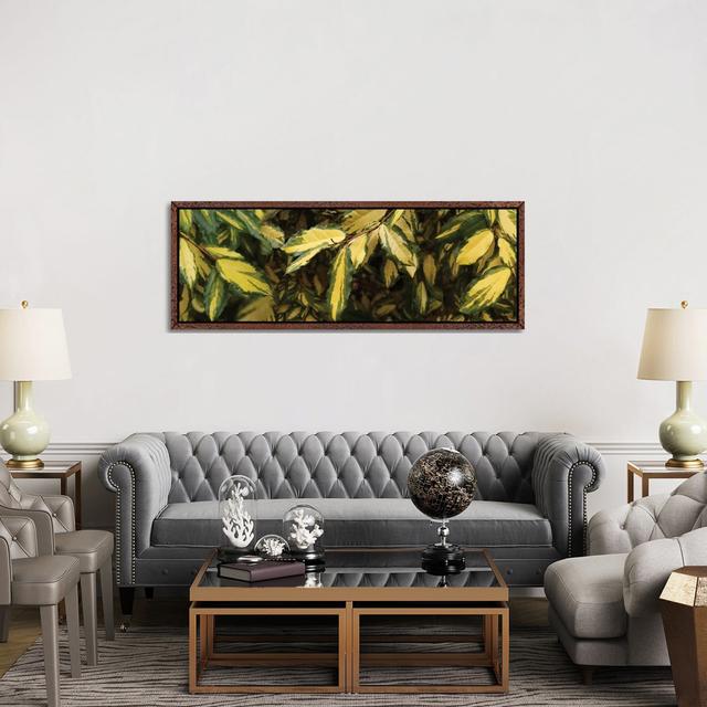 Close-Up Of Euonymus Leaves by Panoramic Images - Panoramic Gallery-Wrapped Canvas Giclée on Canvas Lark Manor Format: Classic Wood Floater Frame, Siz on Productcaster.